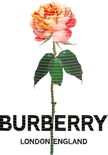 A5 Notebook Wraps-W-119